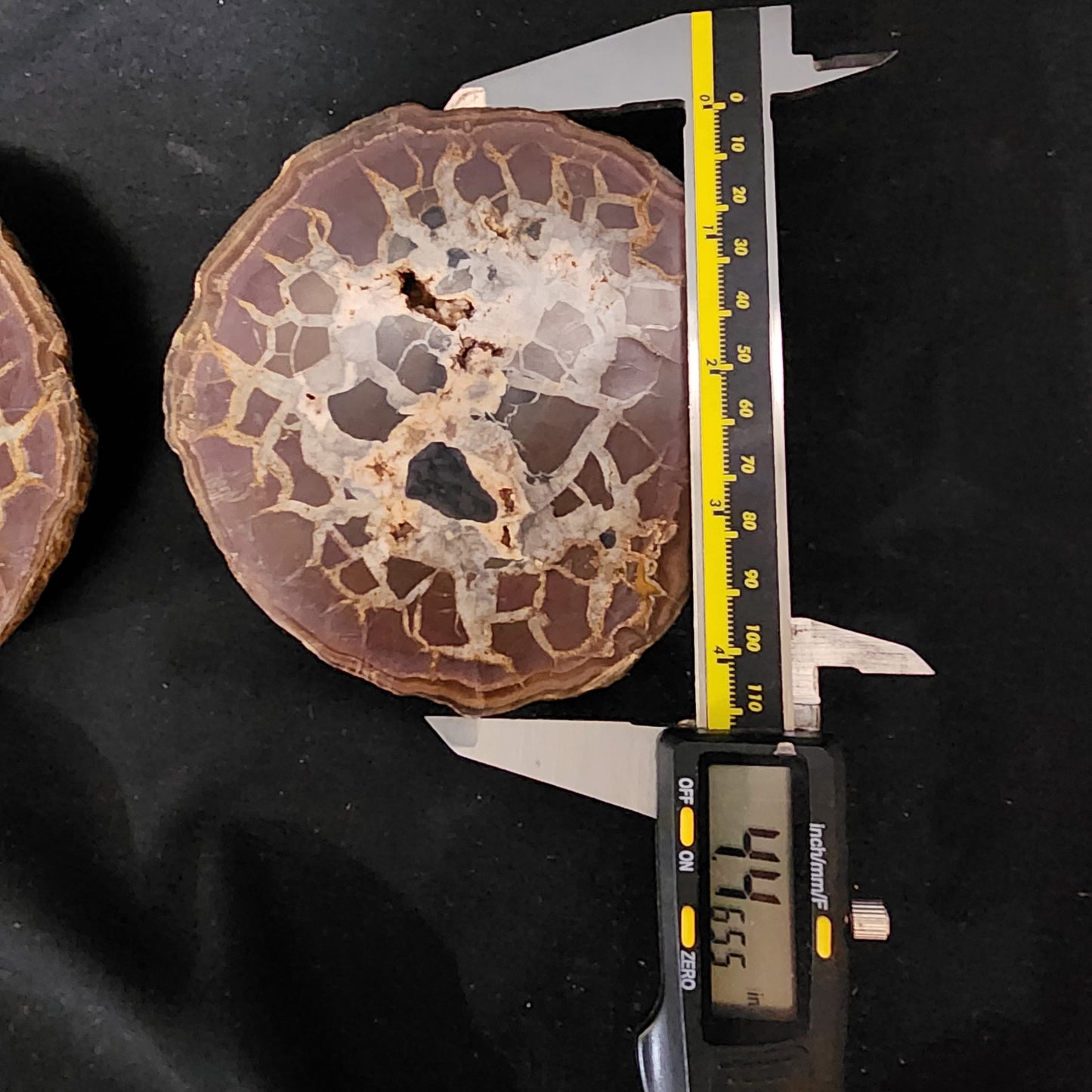 Spectacular Septarian Nodule Pair