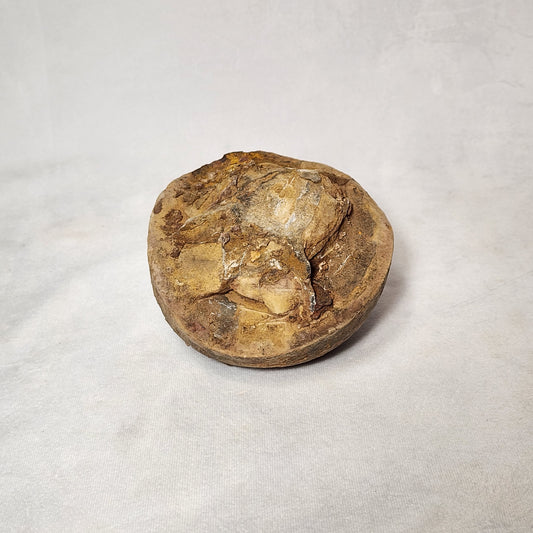 Unique Septarian Nodule