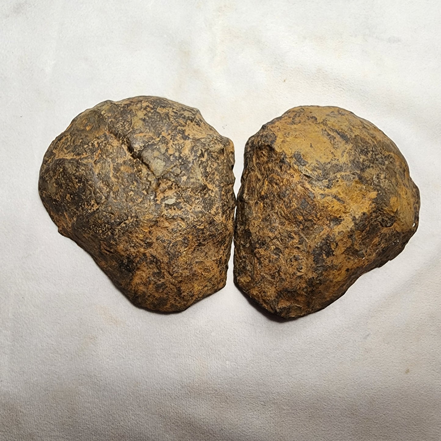 Authentic Septarian Nodule Pair