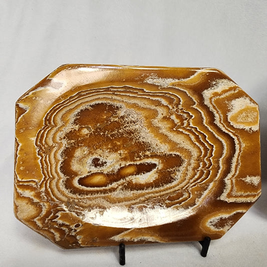 Patterned Aragonite Plates