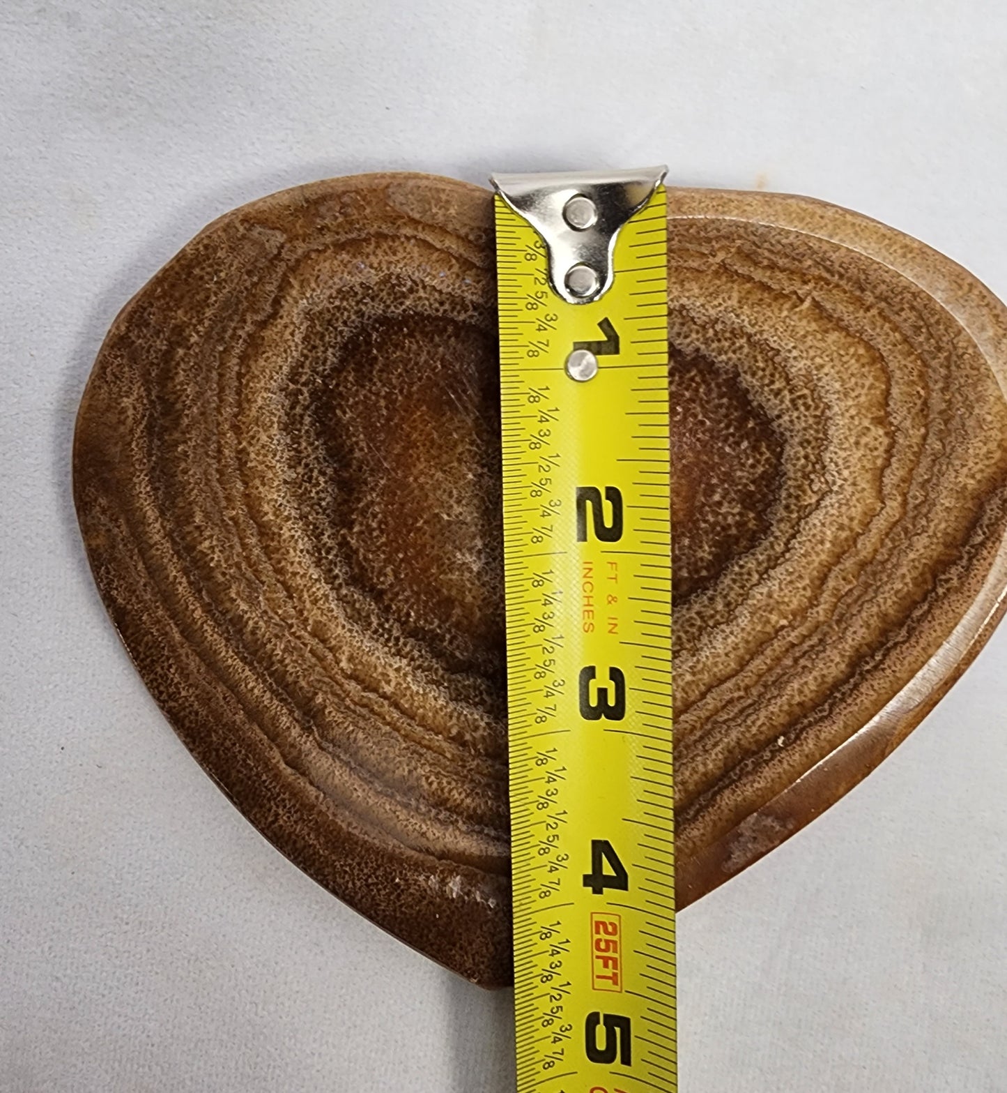 Petite Aragonite Plate