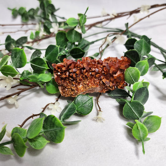 Beautiful Vanadinite Cluster