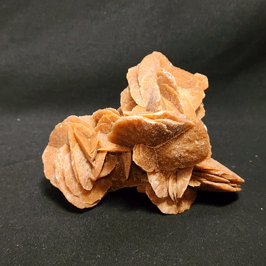 Gypsum Desert Rose