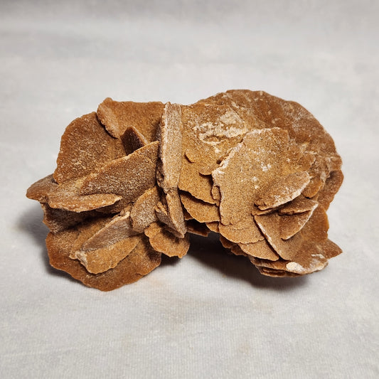 Stunning Desert Rose from Morocco