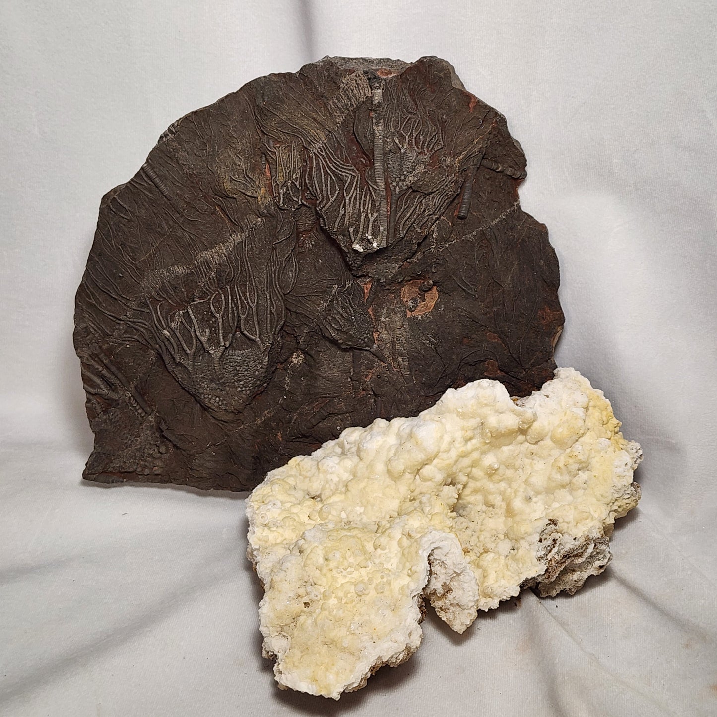 Cave Cluster from Morocco