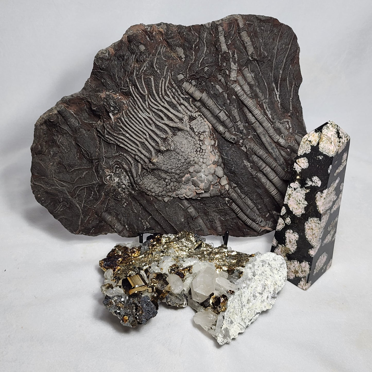 Stunning Pyrite and Quartz