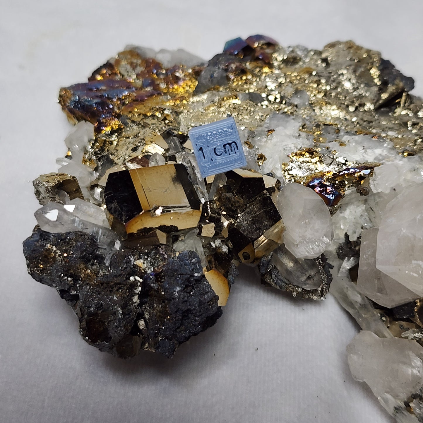 Stunning Pyrite and Quartz