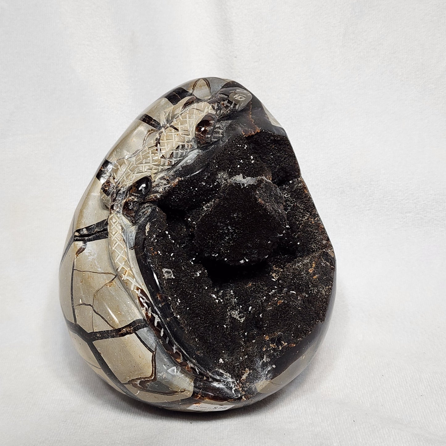 Leaping Lizard Hand-Carved Septarian Egg