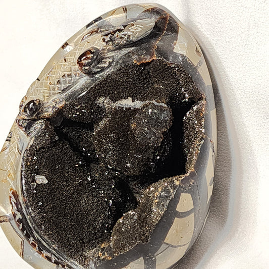 Leaping Lizard Hand-Carved Septarian Egg