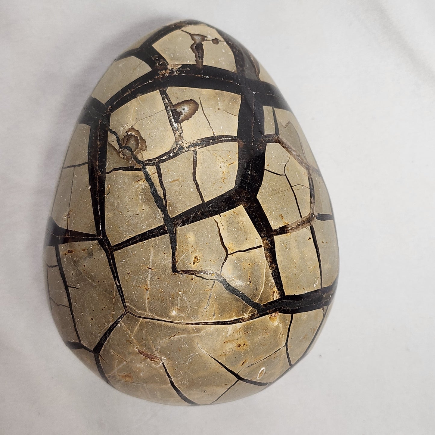 Leaping Lizard Hand-Carved Septarian Egg