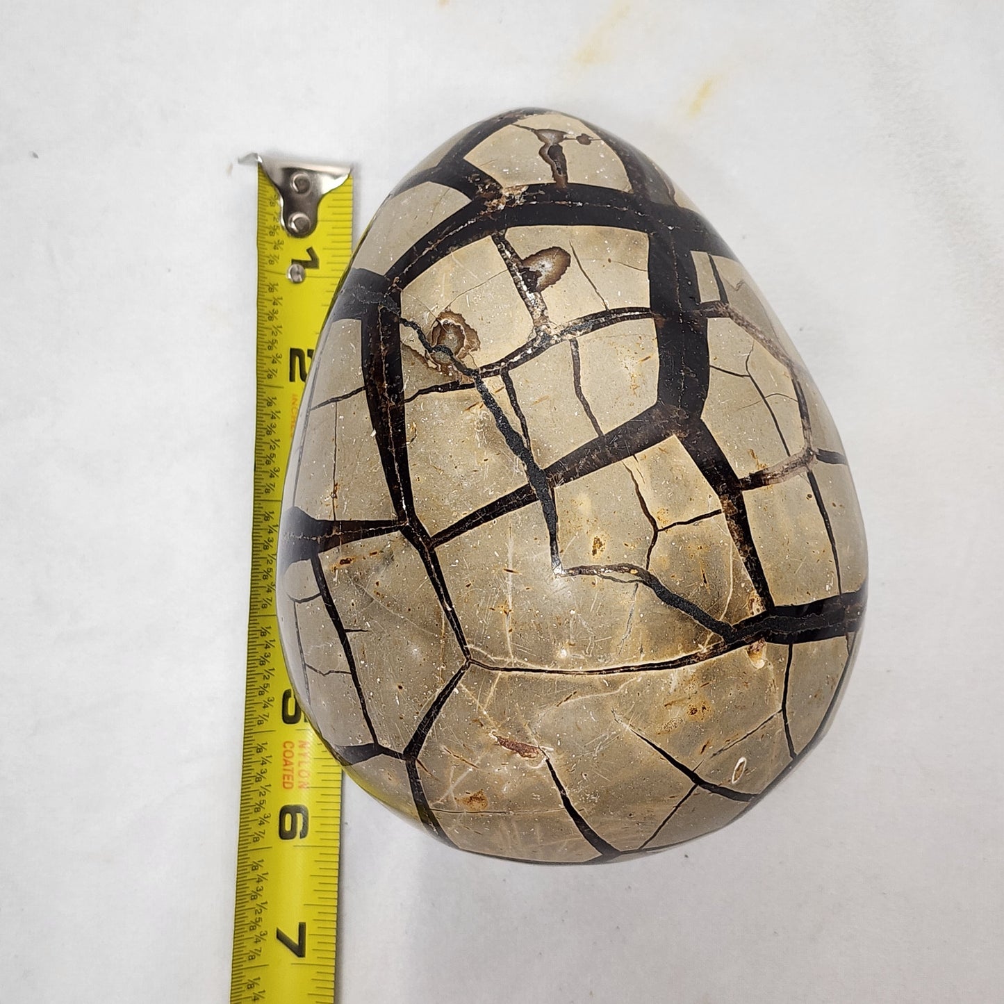 Leaping Lizard Hand-Carved Septarian Egg