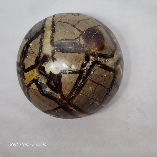 Rounded Septarian Sphere