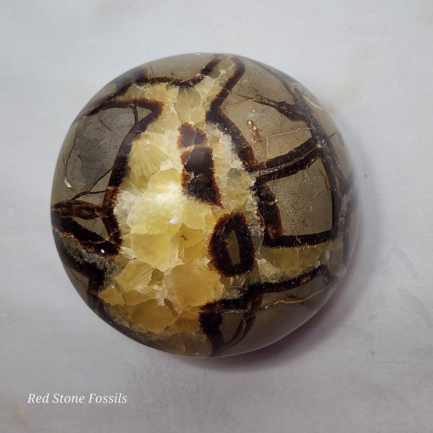 Rounded Septarian Sphere