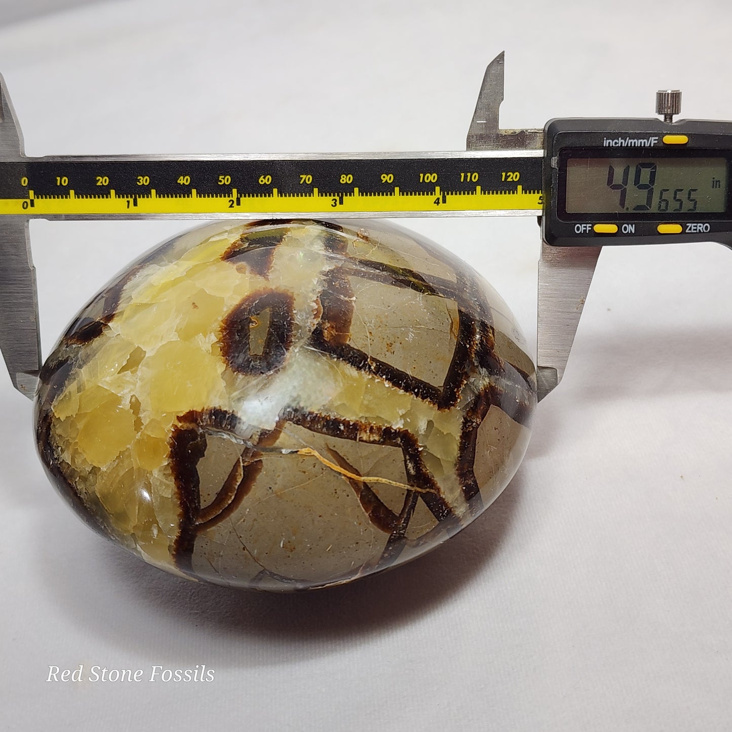 Rounded Septarian Sphere