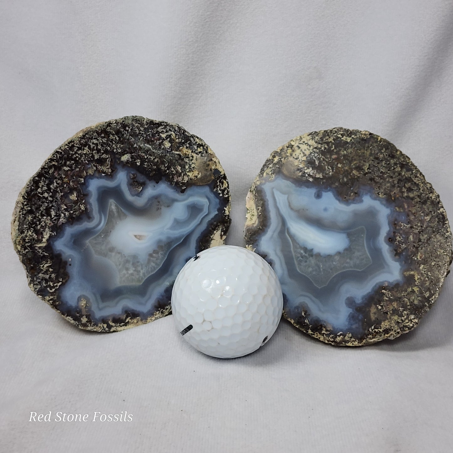 Terrific Thunderegg Pair