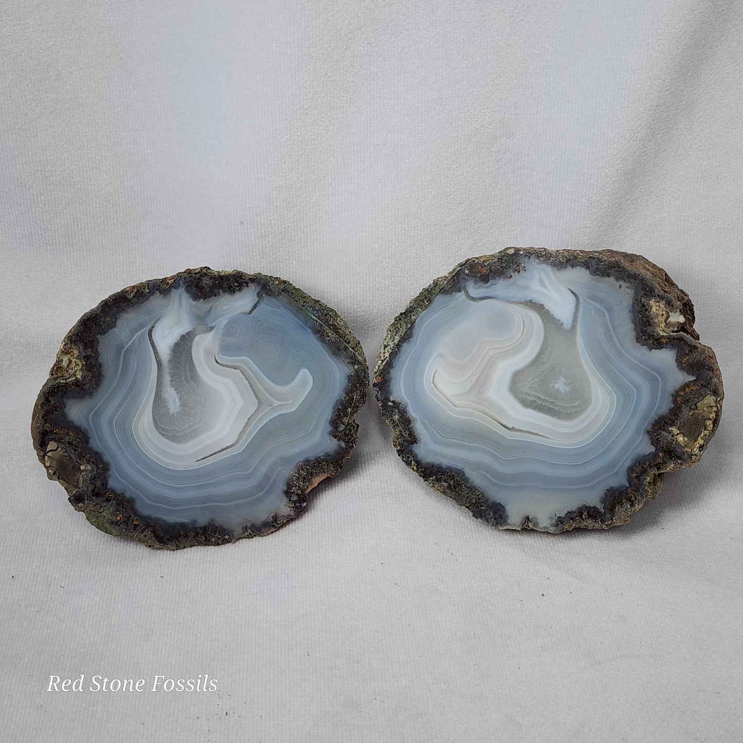 Beautiful Blue Thunderegg