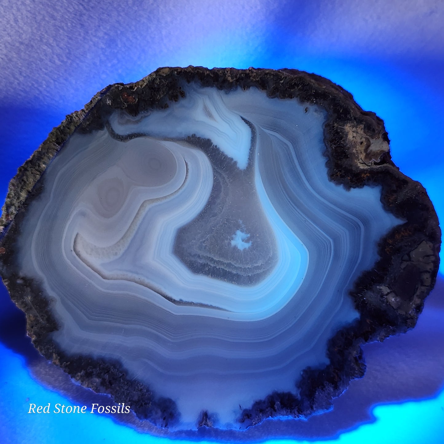 Beautiful Blue Thunderegg