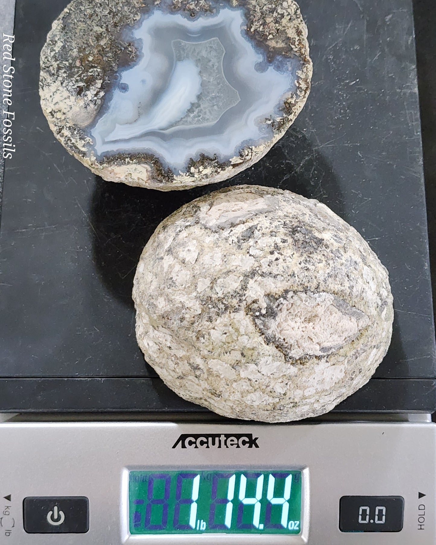 Terrific Thunderegg Pair