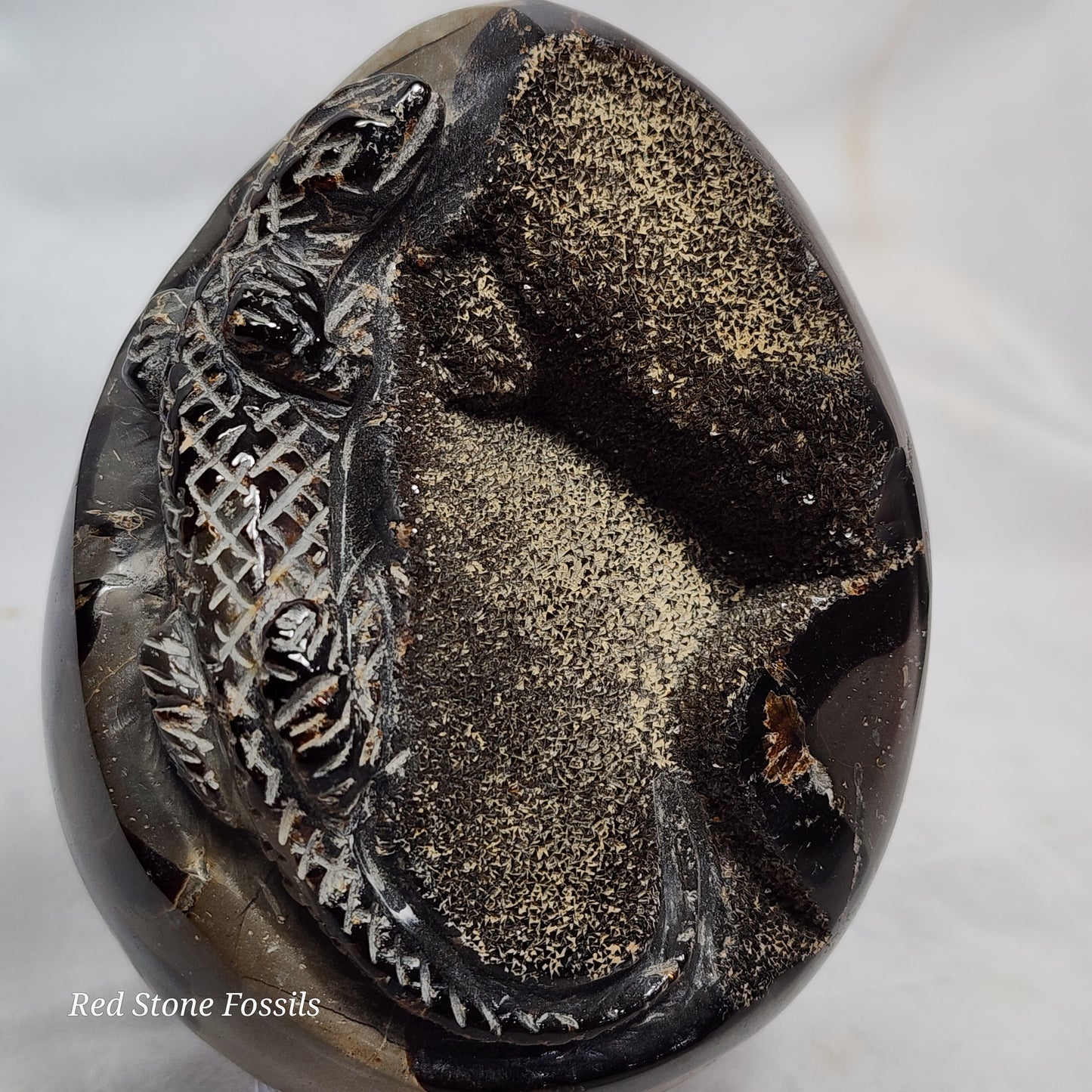 Hand carved Lizard on Septarian Egg