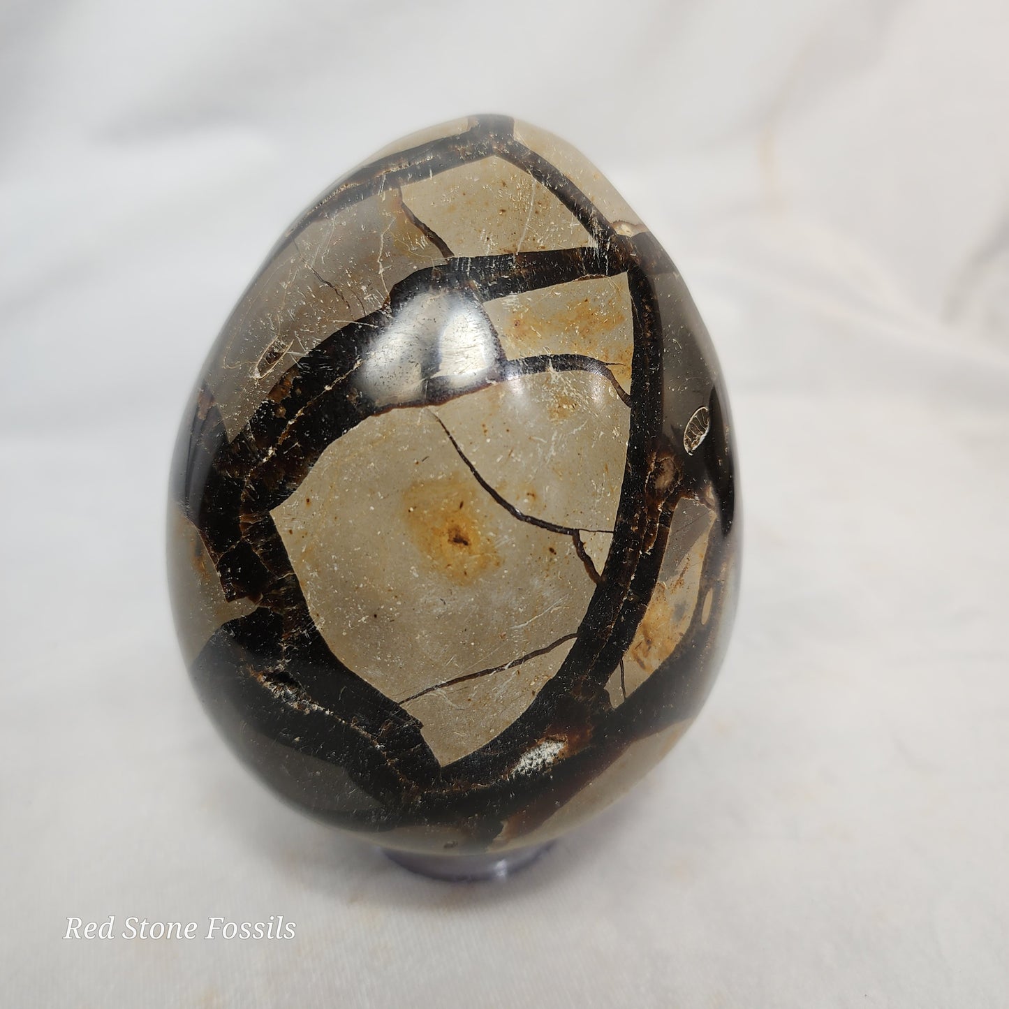 Hand carved Lizard on Septarian Egg