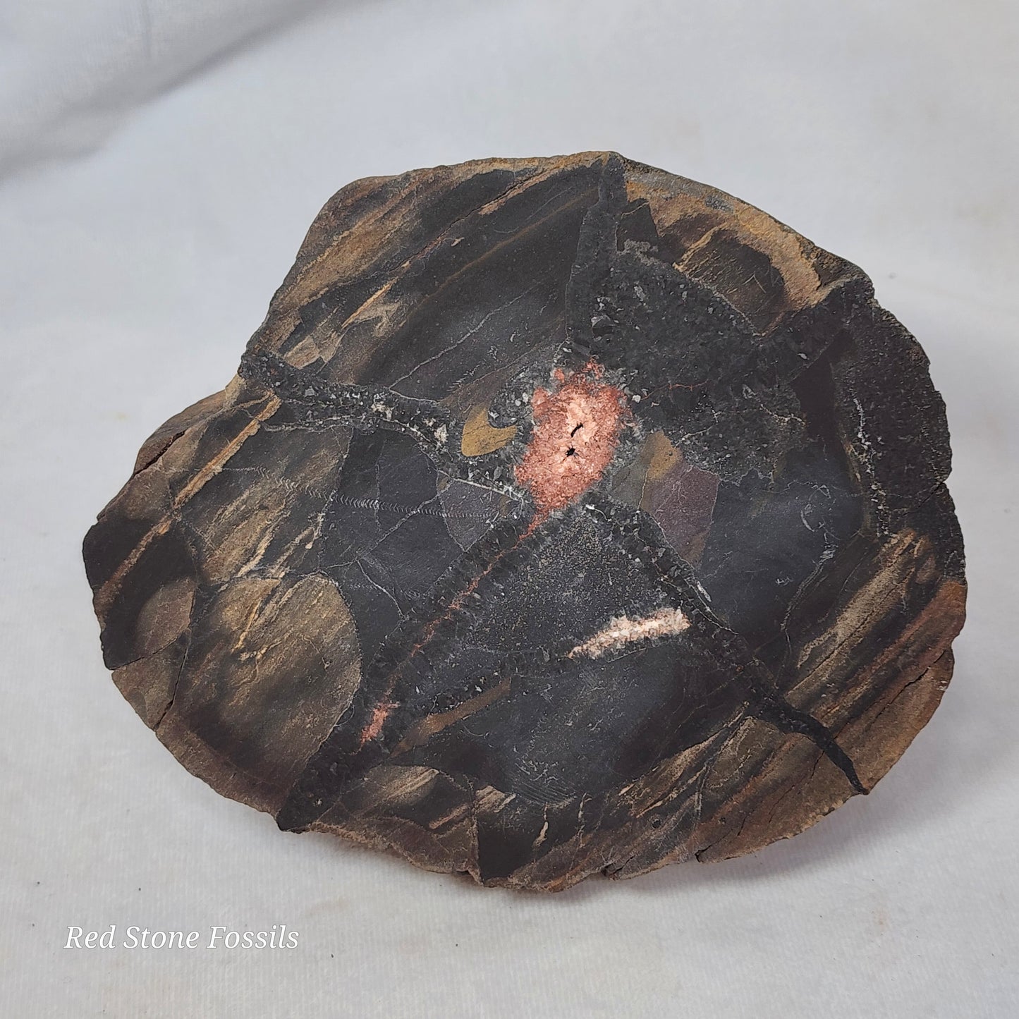 Dark and Dreamy Split Septarian Nodule