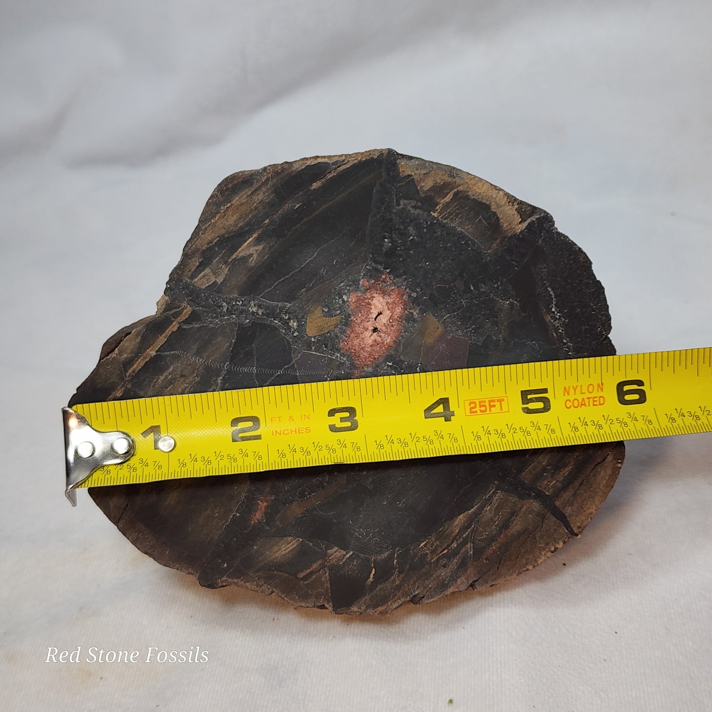 Dark and Dreamy Split Septarian Nodule