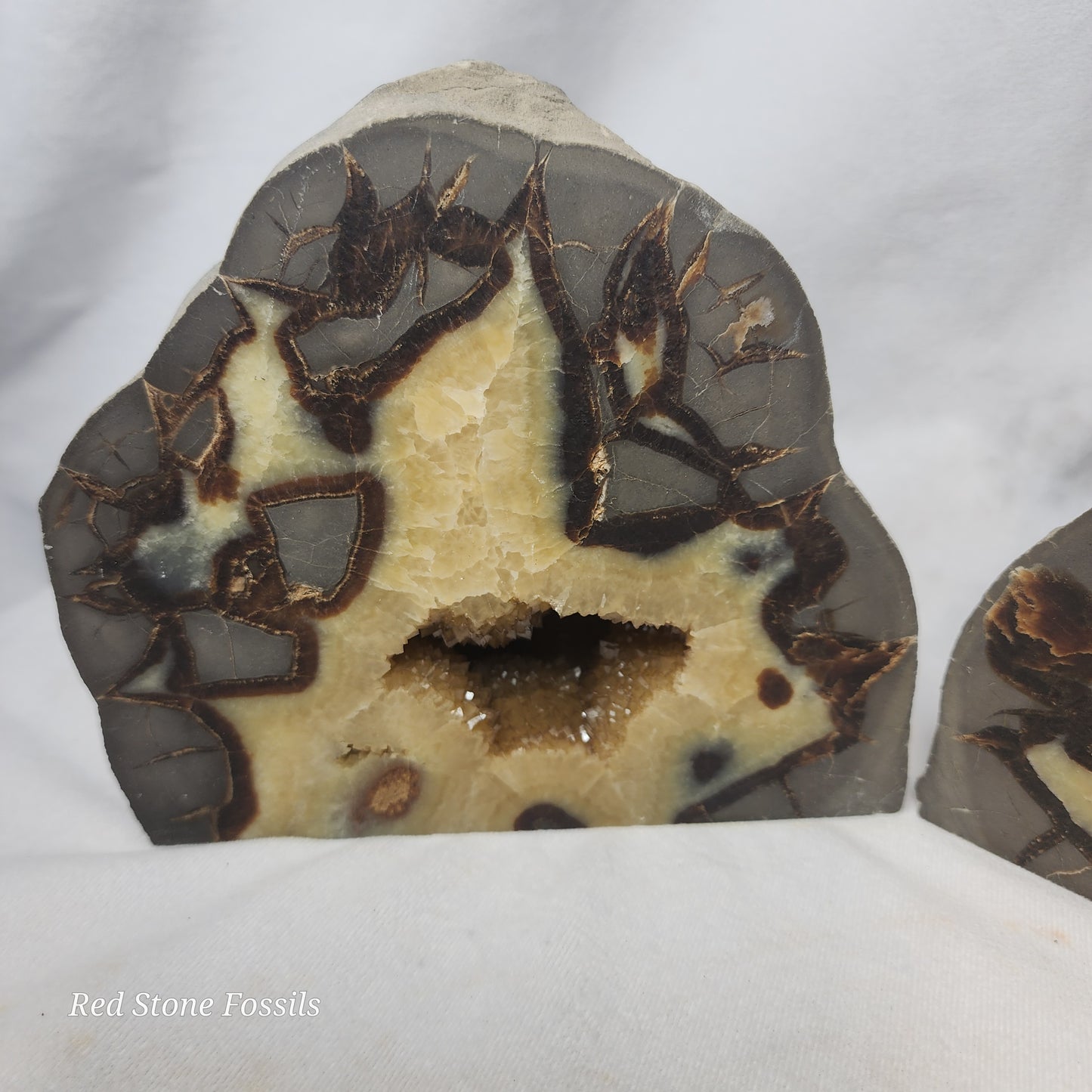 Septarian Bookends