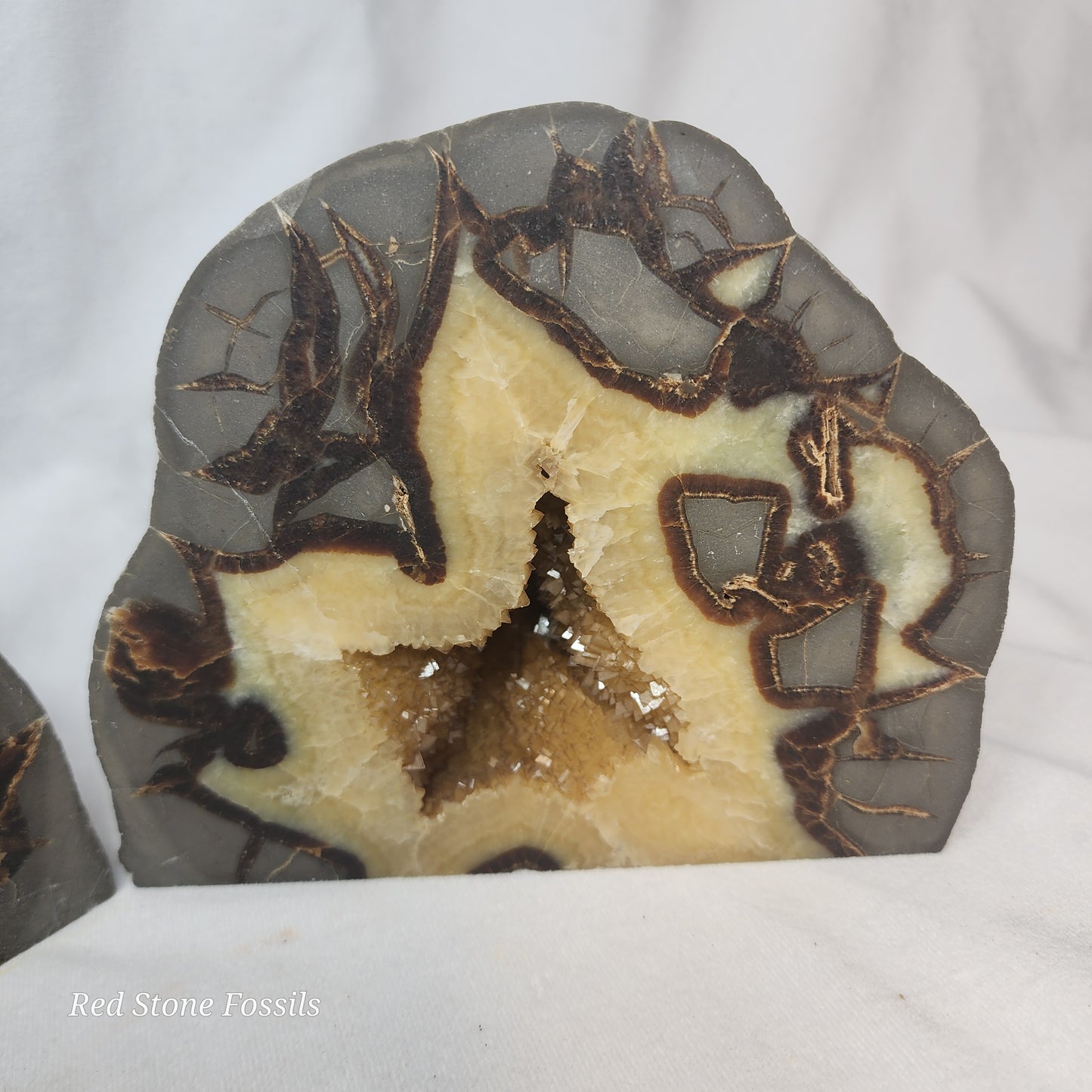 Septarian Bookends