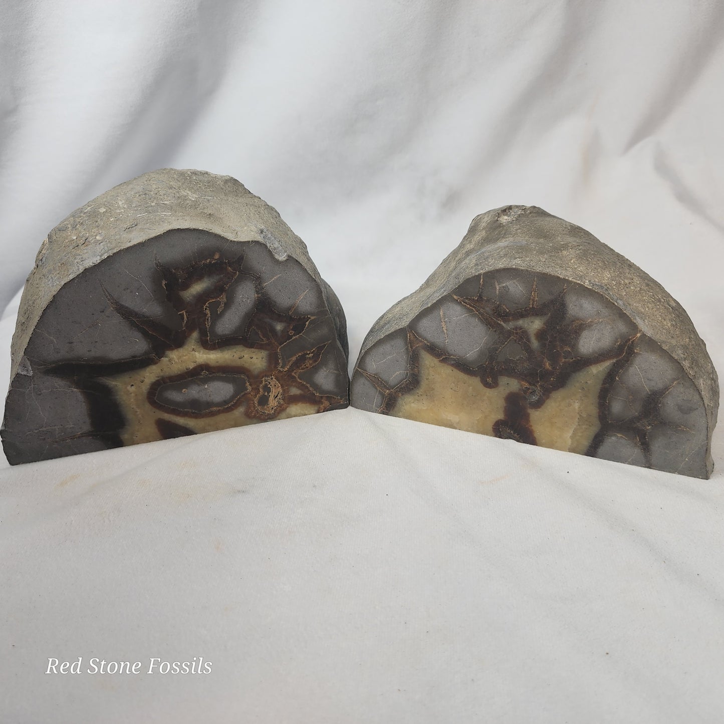 Septarian Bookends