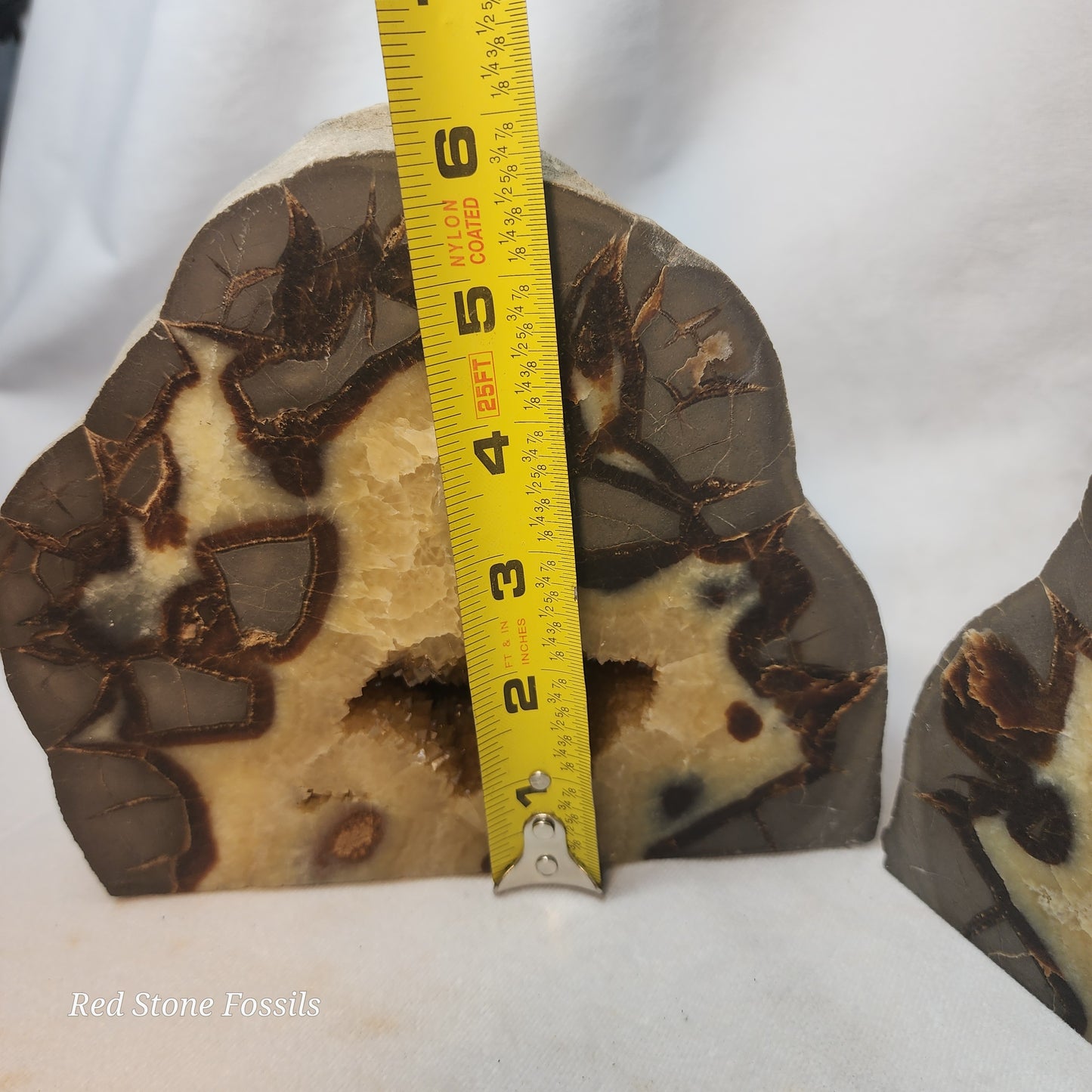 Septarian Bookends