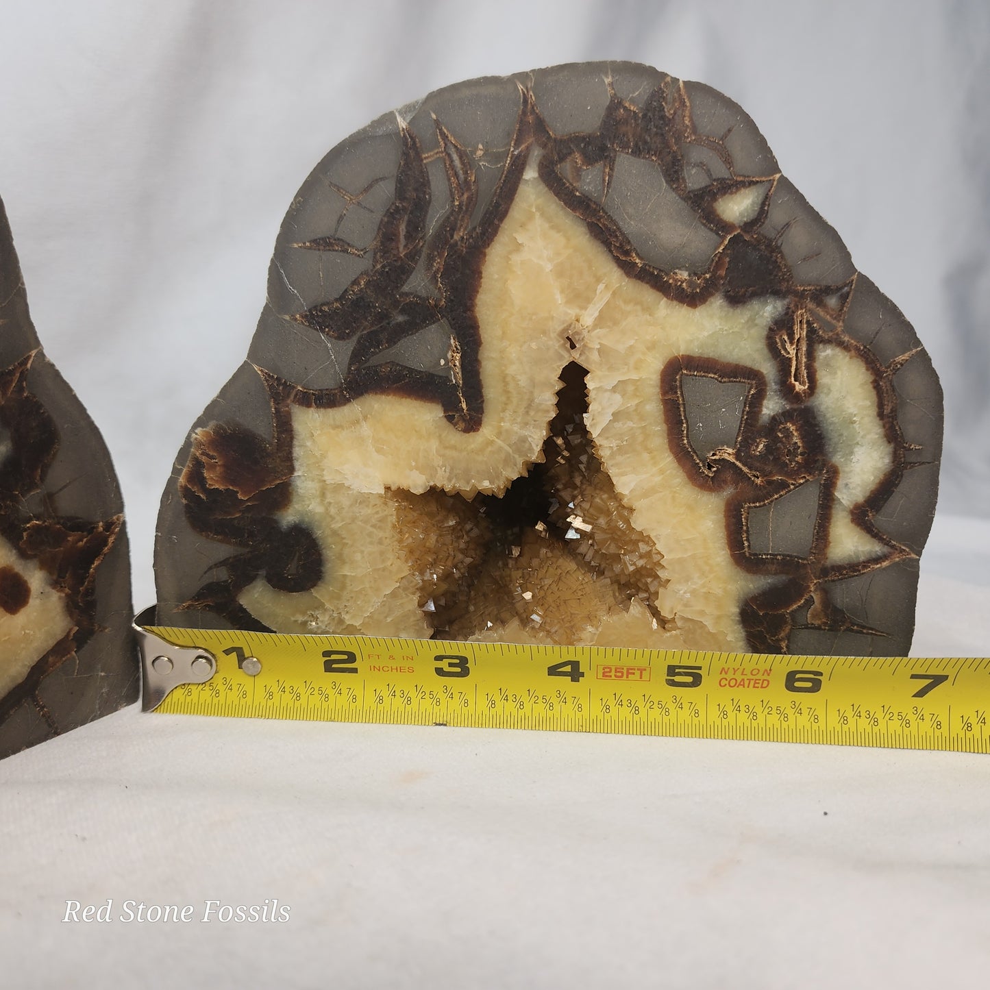 Septarian Bookends