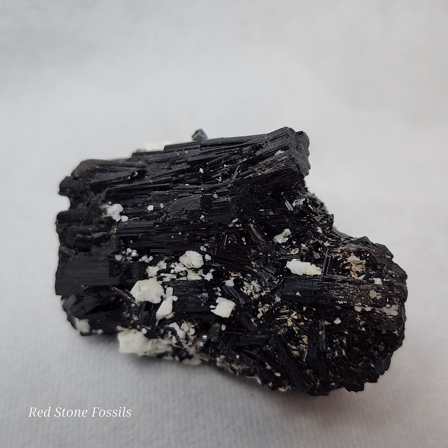 Raw Black Tourmaline with White Albite