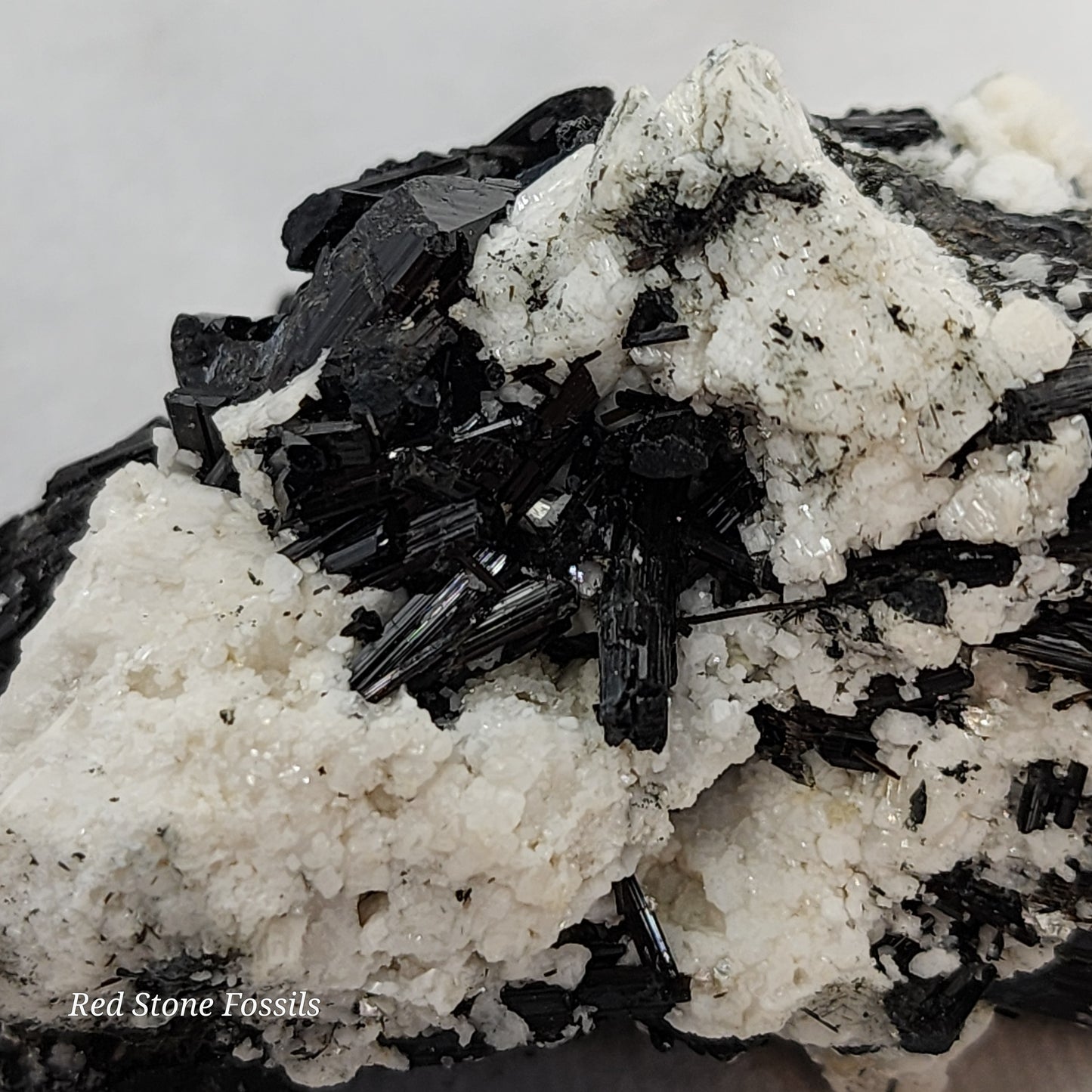 Raw Black Tourmaline with White Albite