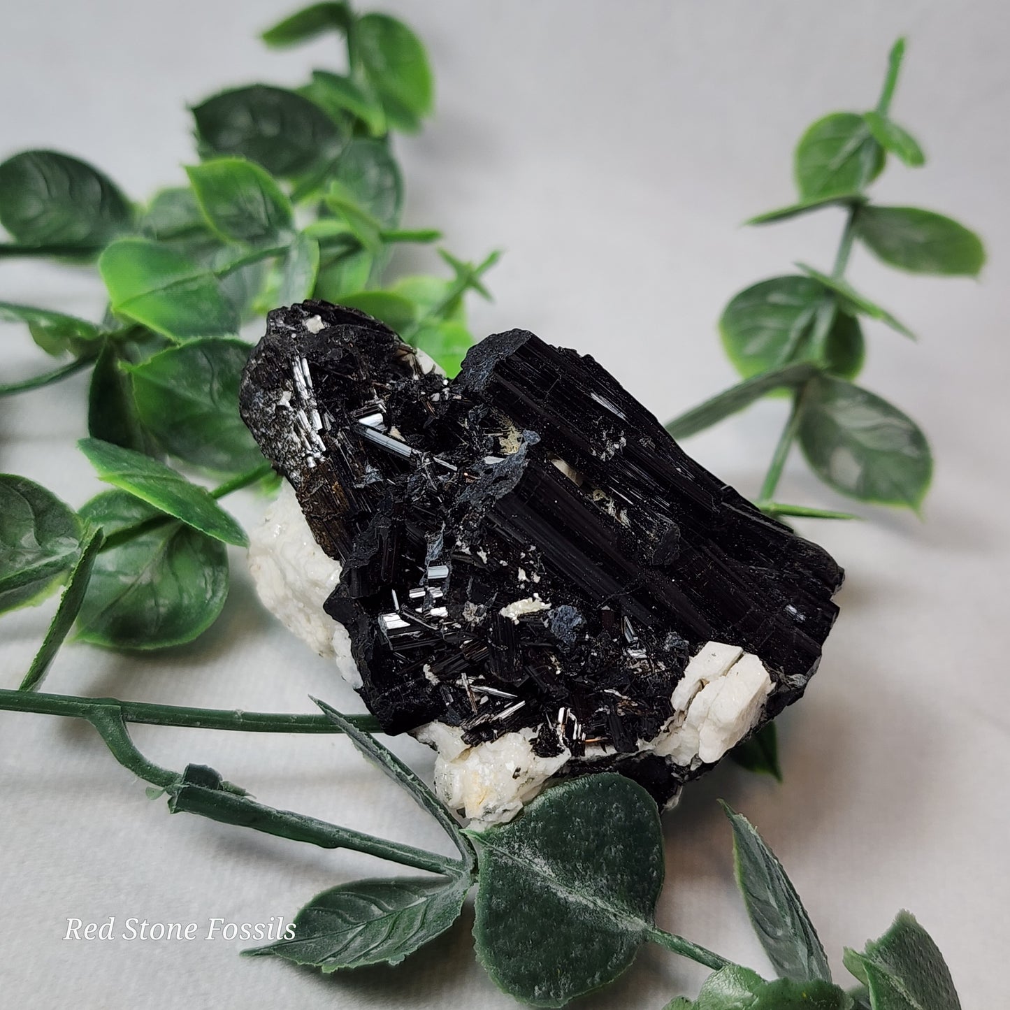 Raw Black Tourmaline with White Albite