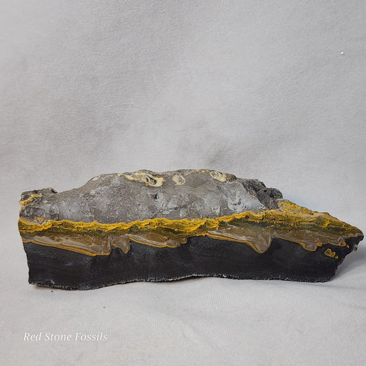 Bumblebee Jasper Slab