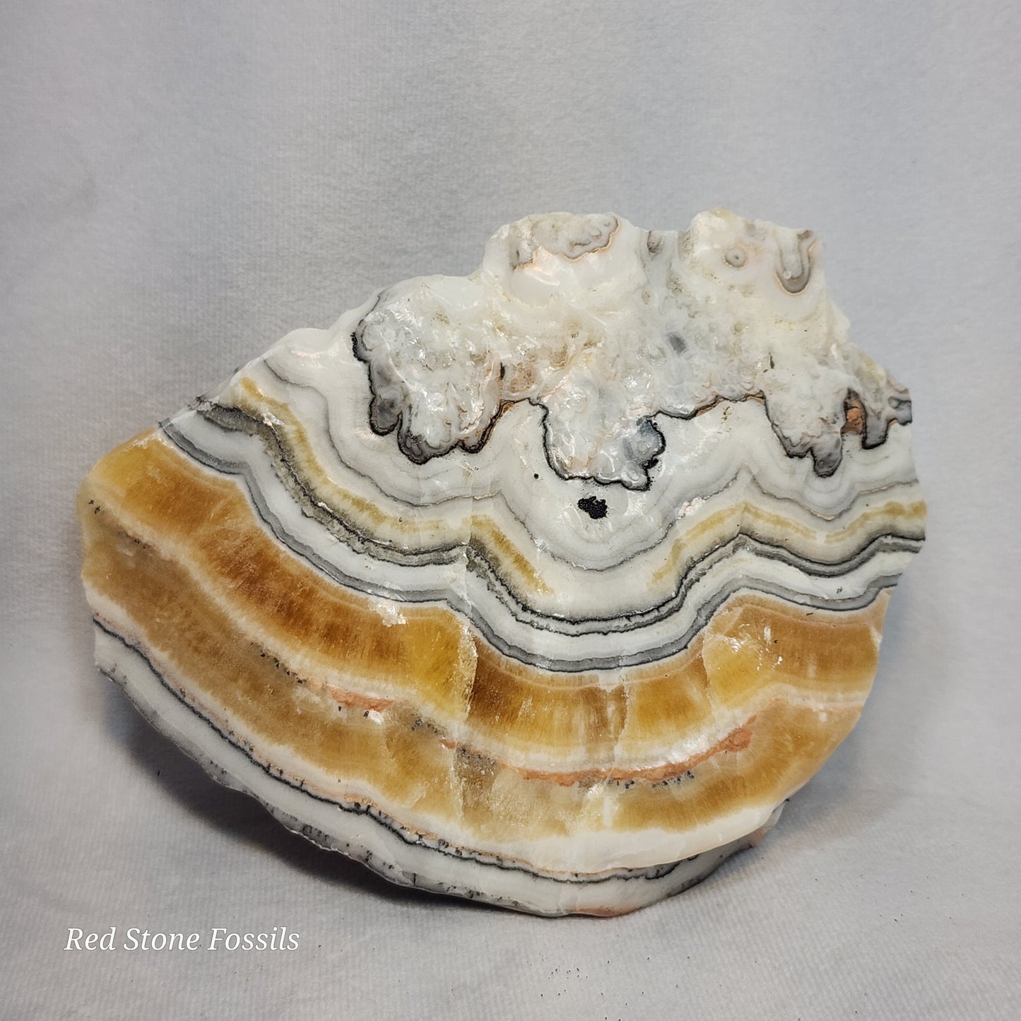 Caramel Calcite Freeform