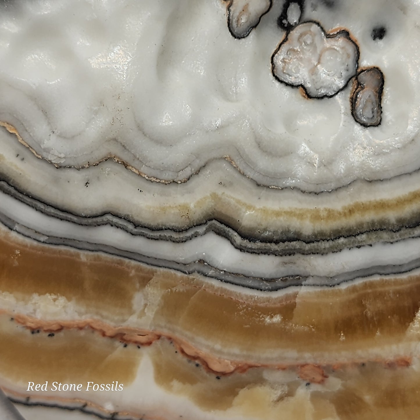 Caramel Calcite Freeform