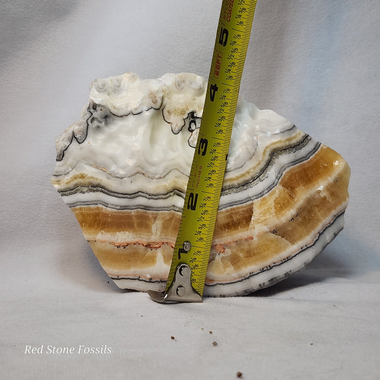 Caramel Calcite Freeform