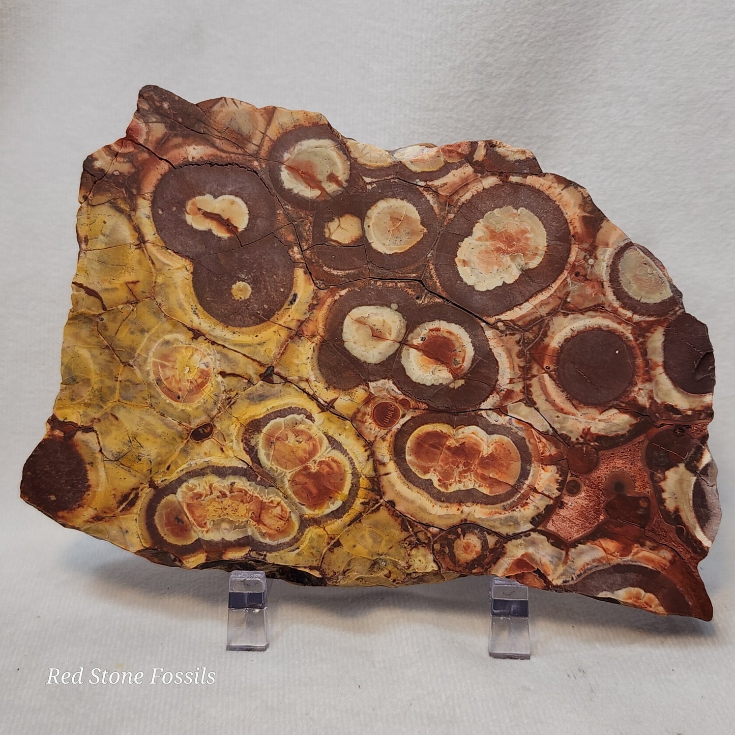 Fascinating Birdseye Rhyolite