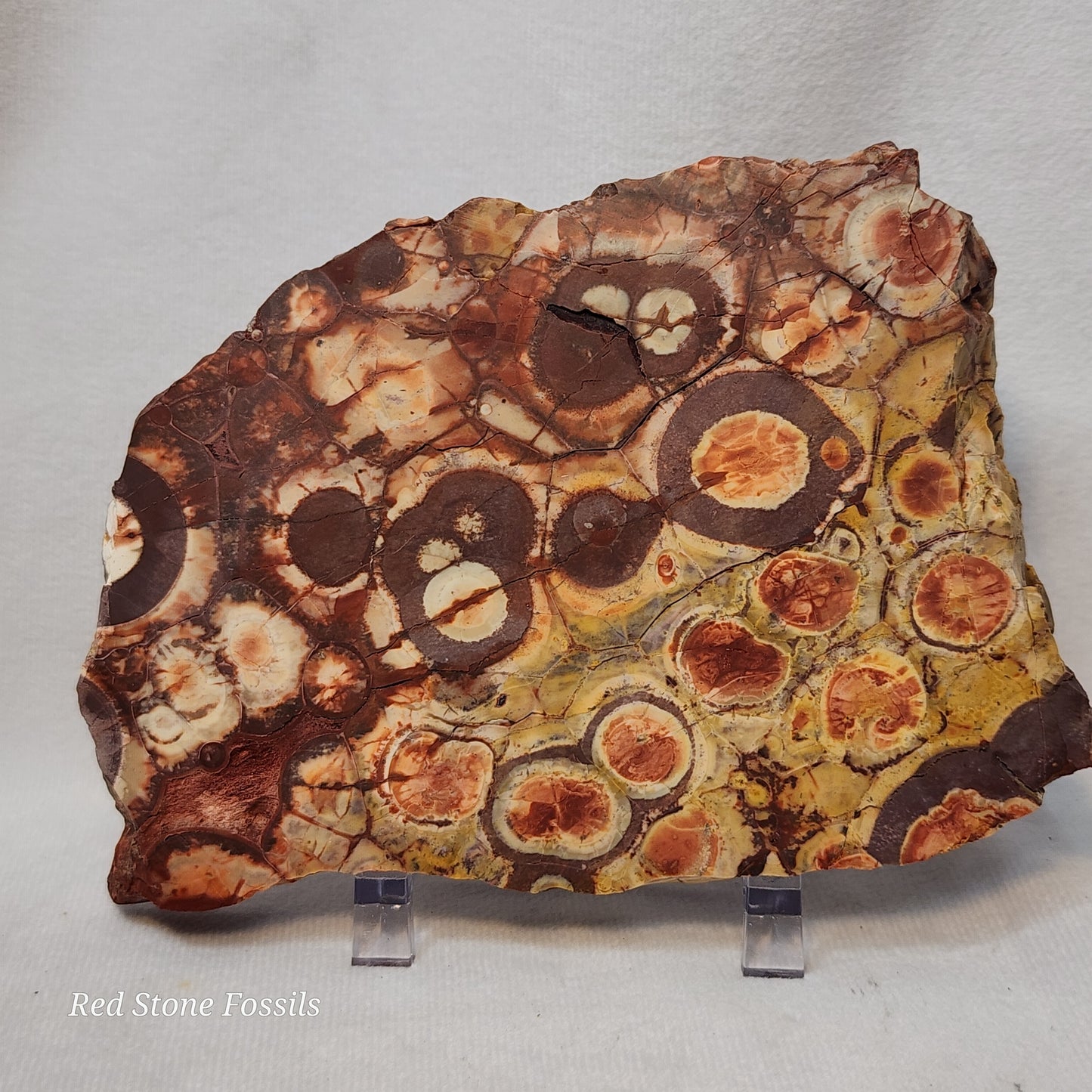 Fascinating Birdseye Rhyolite