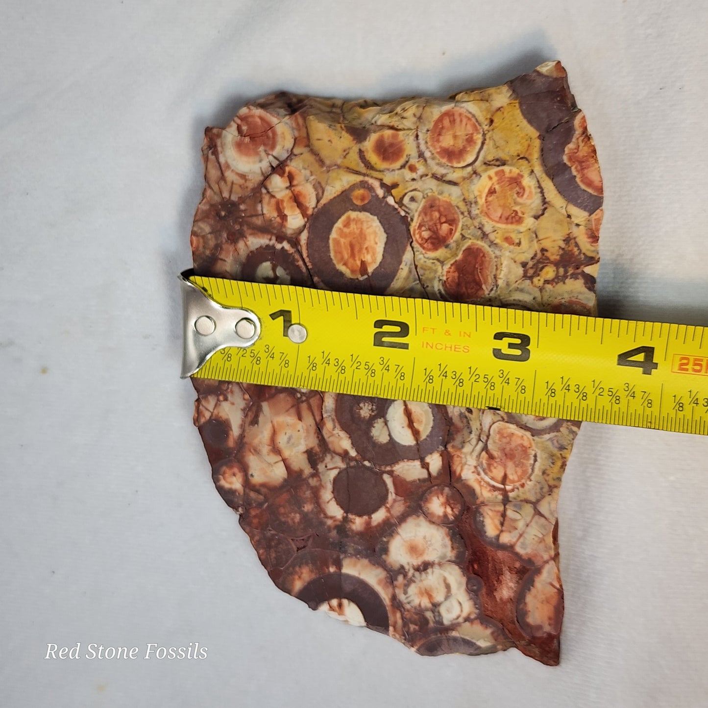 Fascinating Birdseye Rhyolite