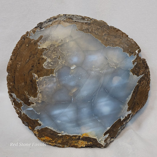 Terrific Thunderegg Slice