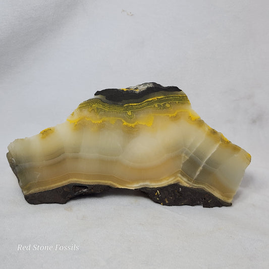 Black and Yellow Jasper Slab