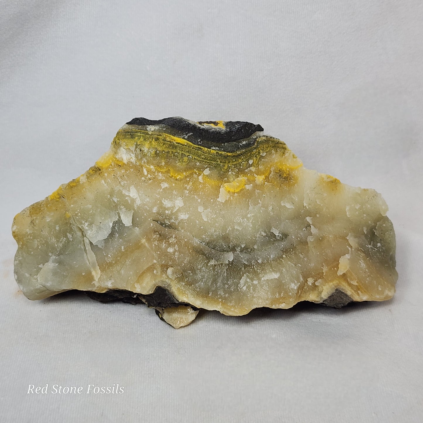 Black and Yellow Jasper Slab