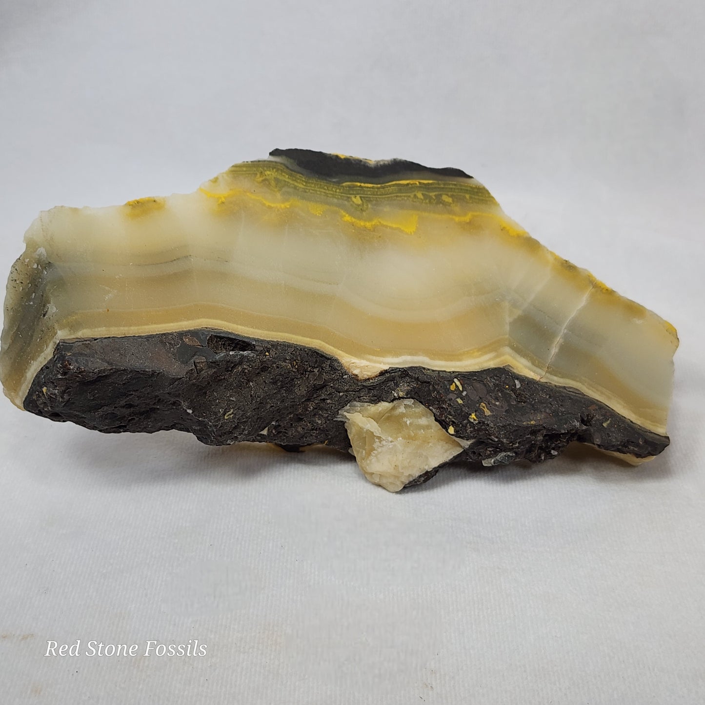 Black and Yellow Jasper Slab