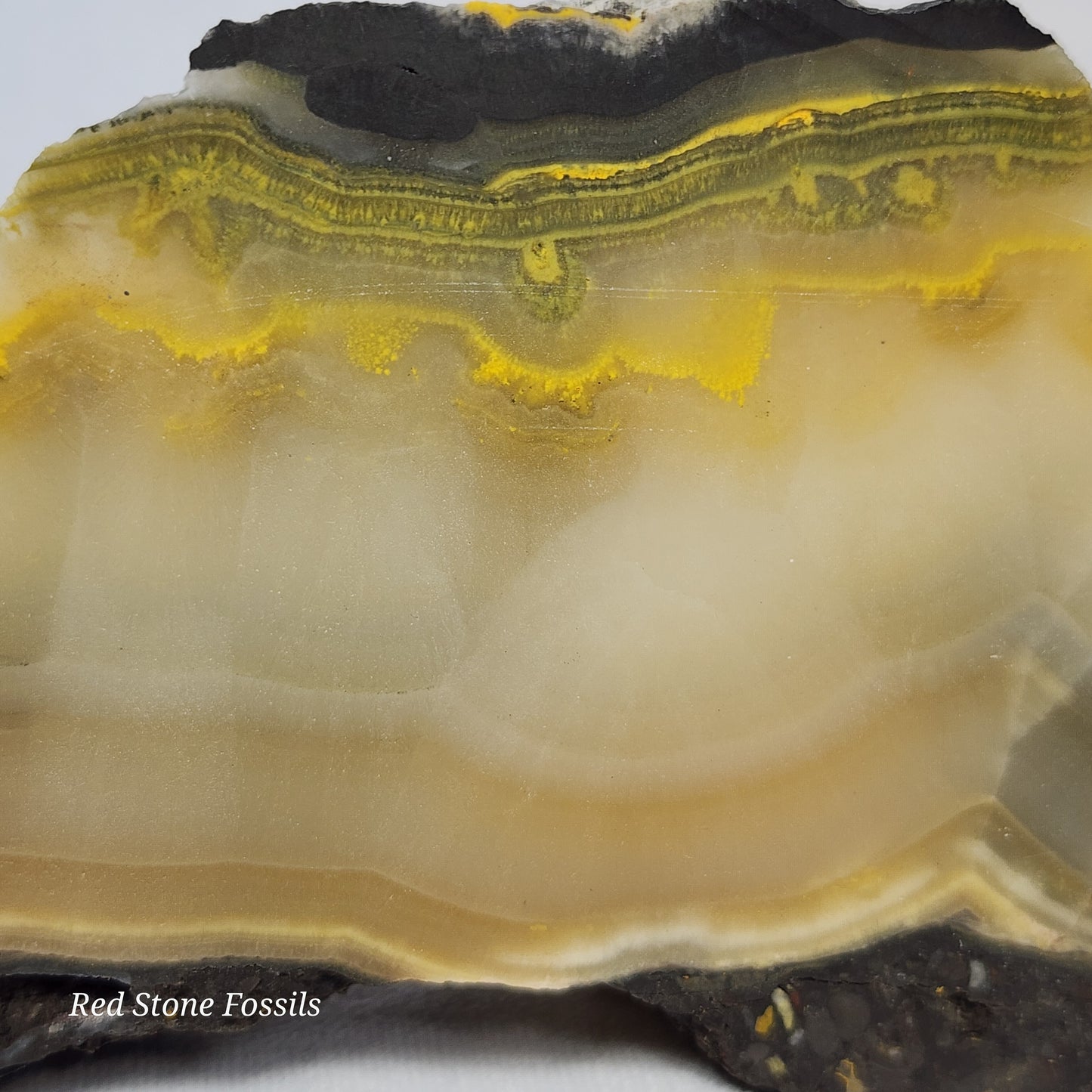 Black and Yellow Jasper Slab