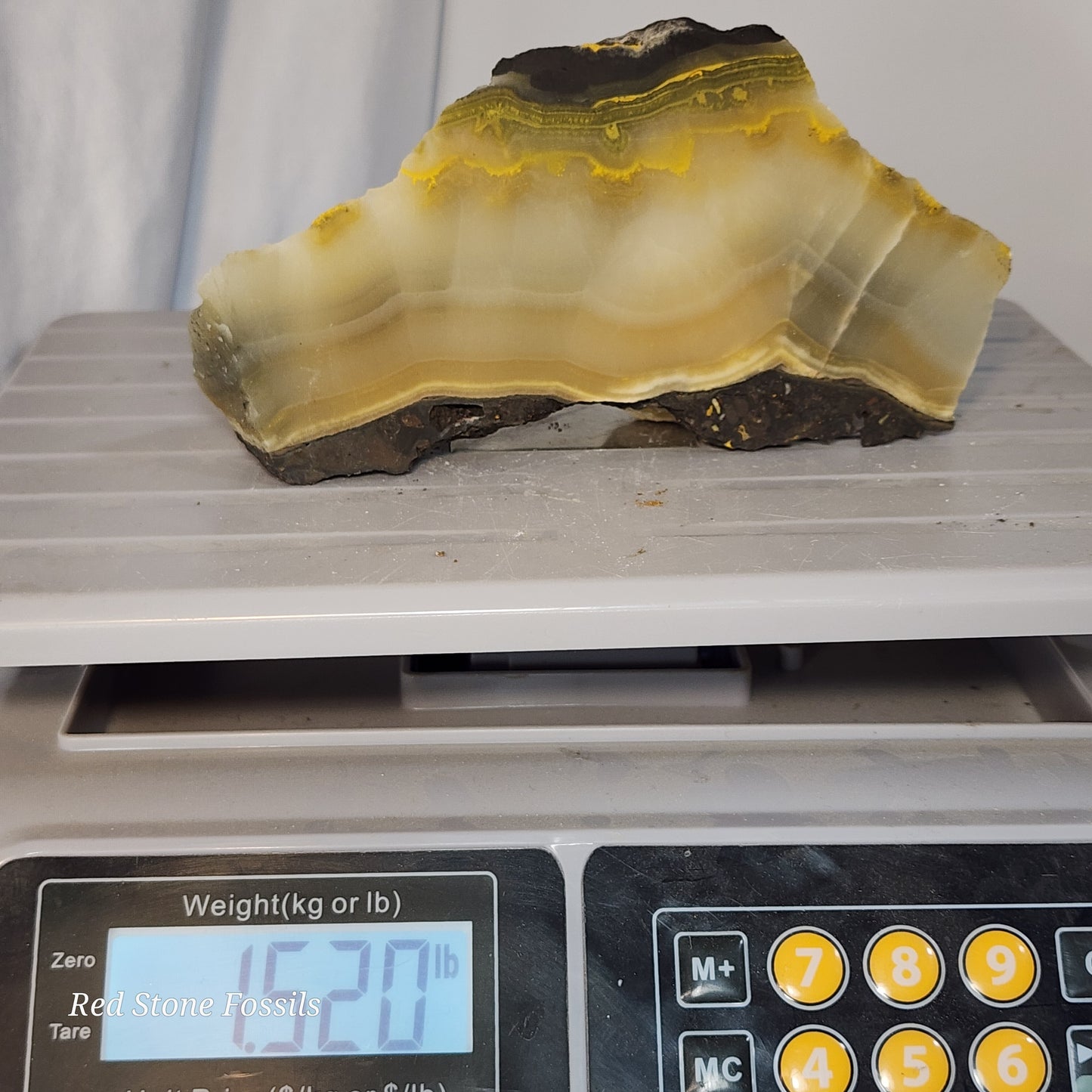 Black and Yellow Jasper Slab