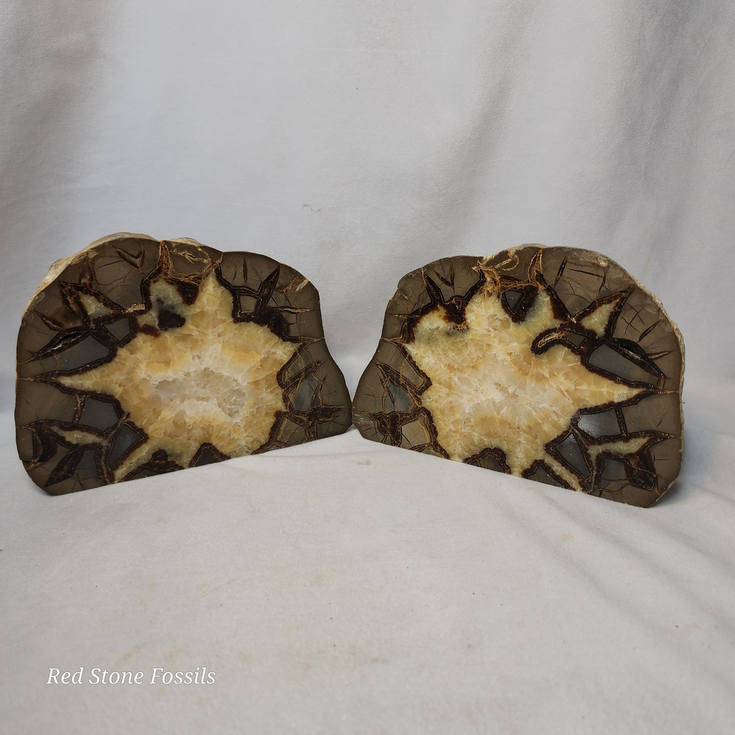 Split Septarian Bookends