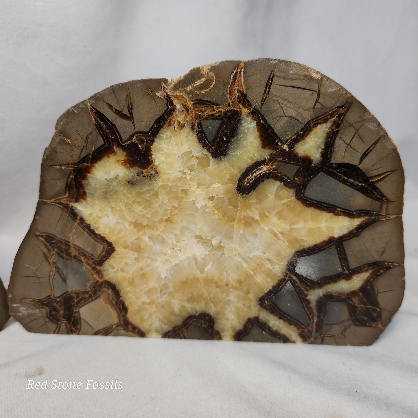 Split Septarian Bookends