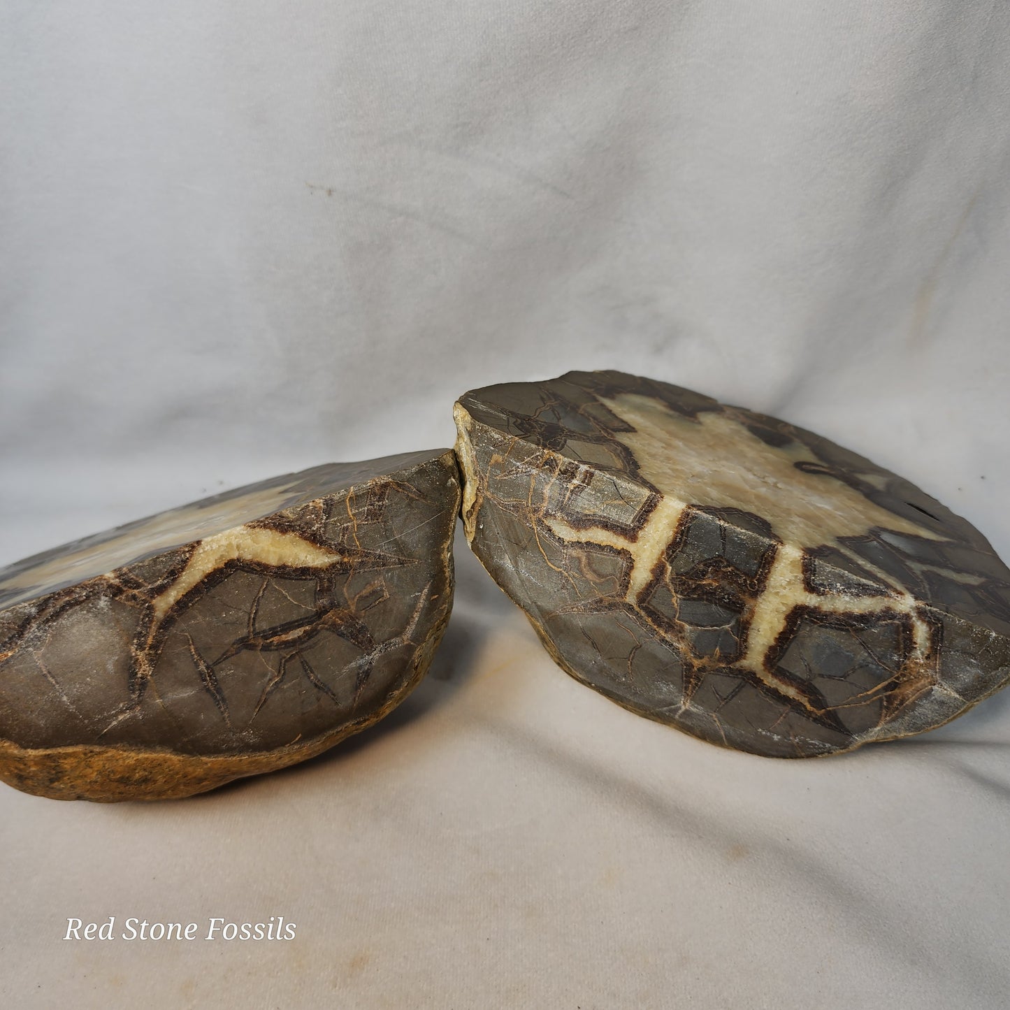 Split Septarian Bookends